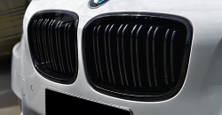   BMW F20 (1er)  1M,  .